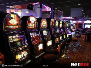 66gg|Bingo Online – Participe ao Vivo no Cassino Virtual